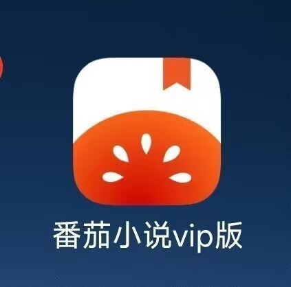 【技术教程】番茄免费小说免 Root 解锁 SVIP 教程 支持安卓 16-小鑫の小屋